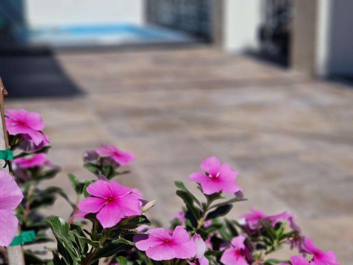 Villaer Del Parque Flats Balneario De Pina Málaga
